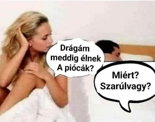 Házassági idill 🙂