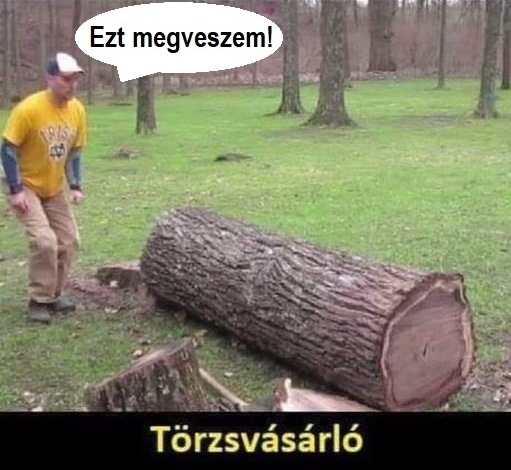 Keddi agyzsibbasztó