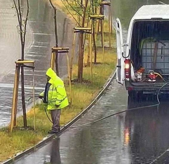 Amikor a butaság szorgalommal párosul