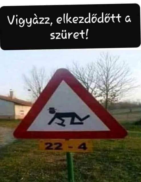 Indul a betakarítás