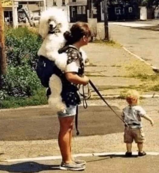 Anyuci elfelejtett reggel kávét inni 