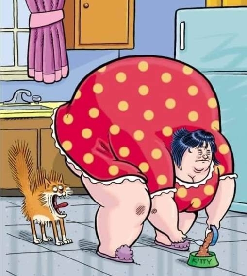 Erre a látványra nem számított a cicus