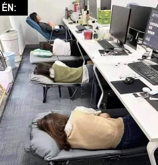 Ön szerint milyen az ideális munkahely?