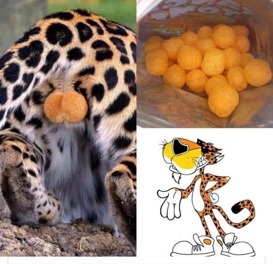 Napi rágcsálnivaló