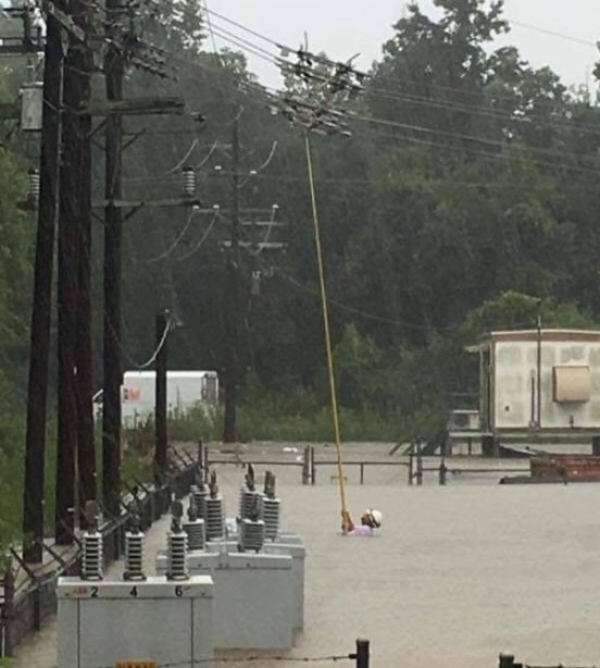 More, ebbű baj lesz!