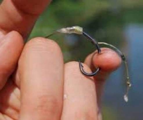 Mindent tudok a horgokról