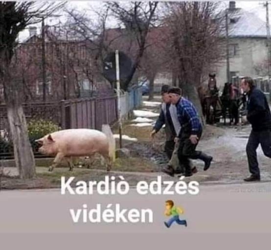 Hatékonyabb szívműködés és jobb állóképesség 🙂