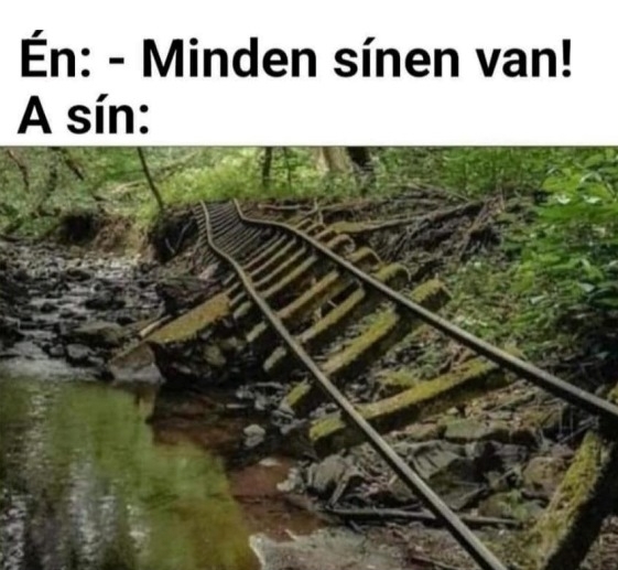 Haver, hogy alakul mostanság a sorsod?