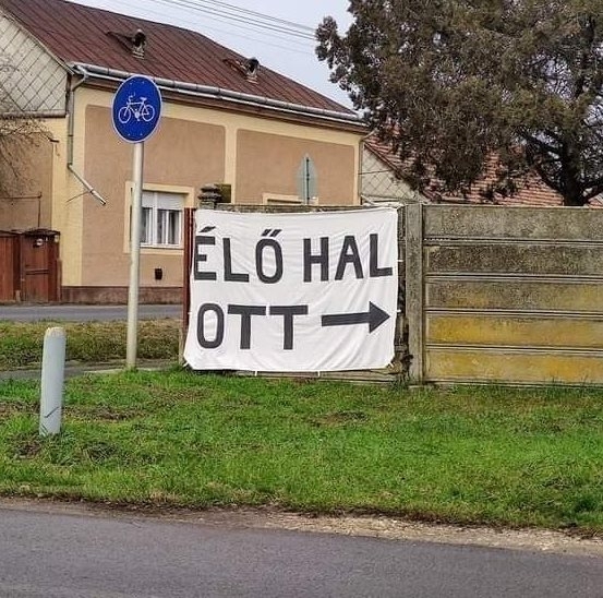 Walking dead Hungary