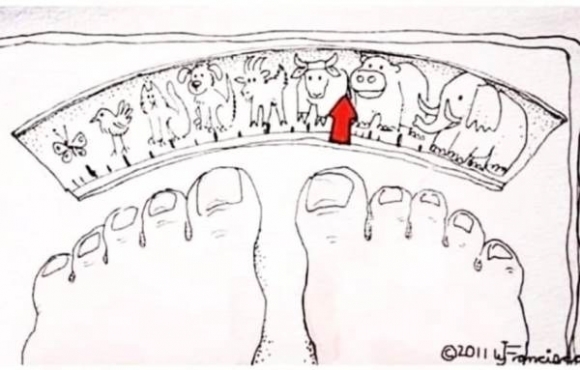 A karácsonyi zabaparti után