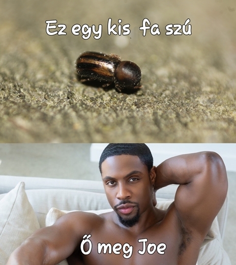 Szerdai agyzsibbasztó