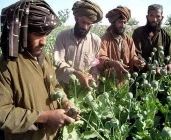 Itt készül a varázs bejgli