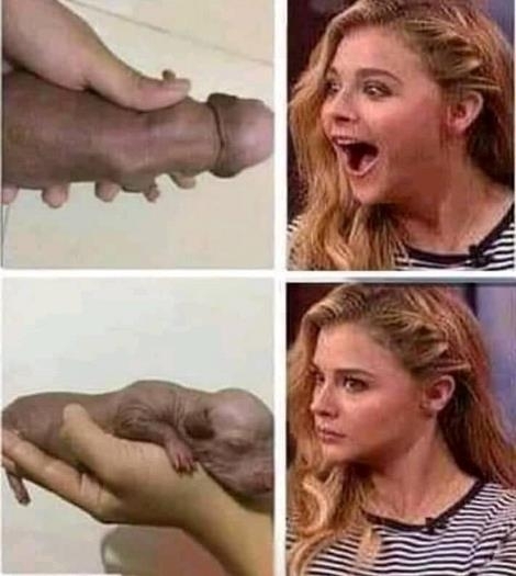 Egy újabb hétköznapi csalódás