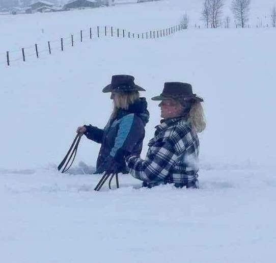 Ez a kép kiválóan jellemzi a főnökök és alkalmazottak kapcsolatát