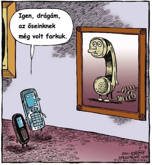 Csütörtöki képvicc