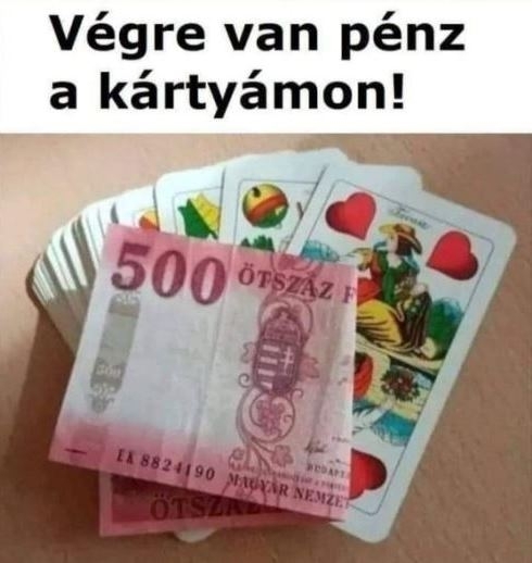 Csütörtöki képvicc