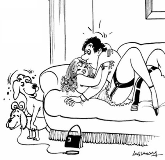 Nem csak a gazdi érzi jól magát  