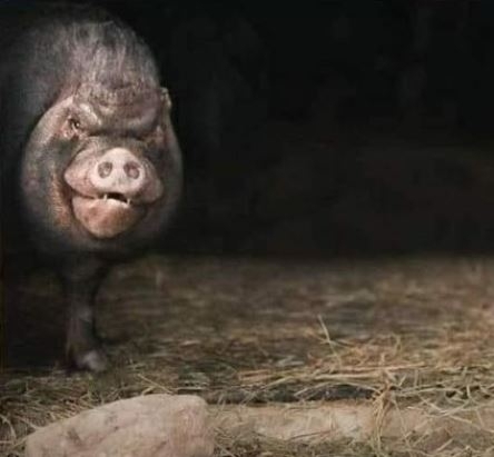 Amikor késel a melóból, és a főnök már az ajtóban vár