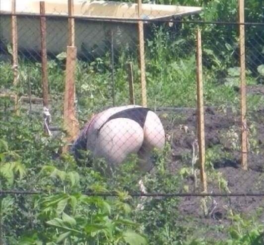 Hamarosan a magyar kiskertekben