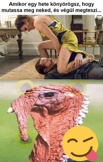 Kellett neked kíváncsiskodni 🙂