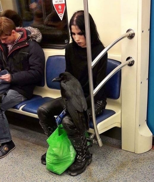 Eközben reggel a metrón