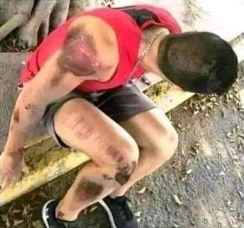 Haver, miért adtad el a motort?