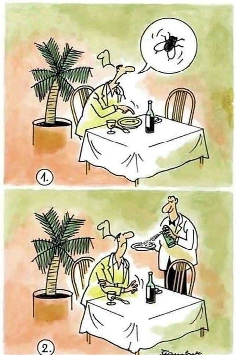 Pincér, egy légy van a levesemben!