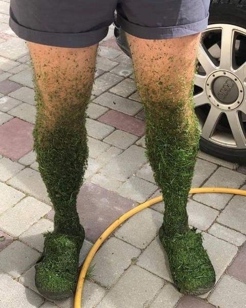 Beköszöntött a jóidő, végre lehet füvet nyírni