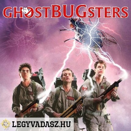 Légy te is légyvadász! (x)