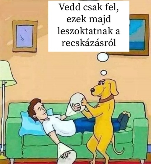 A kutya az ember legjobb barátja