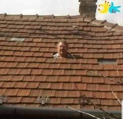 Én, amikor megnézem, hogy ki a kurv@ anyja nyírja a füvet, már reggel 7-kor