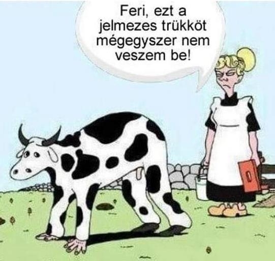 Újra megpróbálta