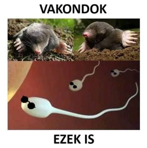 Vasárnapi agyzsibbasztó