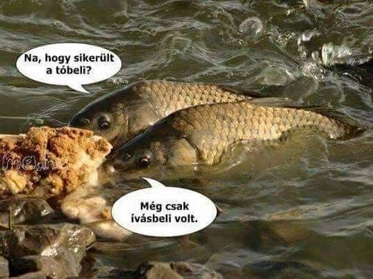 De ott szerencsére meglett a kettes 🙂