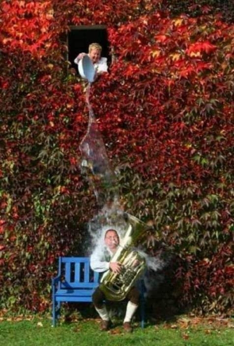 Nem volt sikeres a szerenád