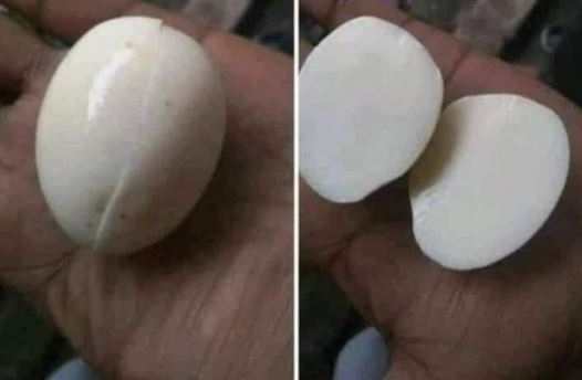 Ez történik, ha a kakas óvszert használ 🙂