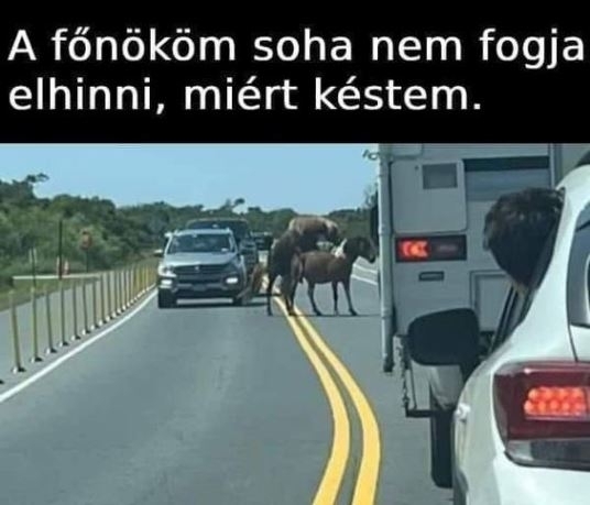 Mutasd meg neki a fotót 🙂