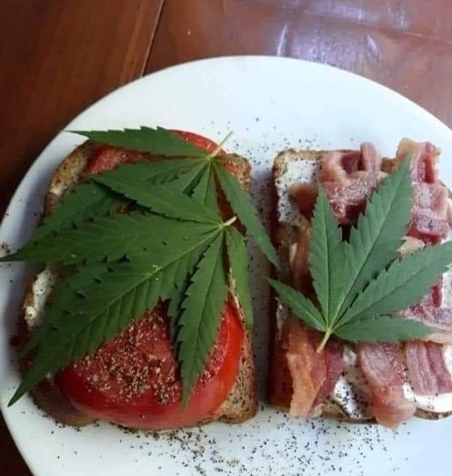 Elfogyott a rukkolám