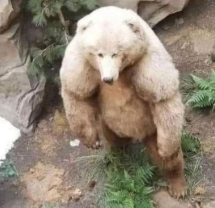 Amikor csak heti 1x jutsz el a kondiba,