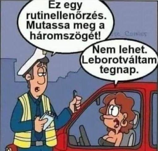 Egy kis félreértés a rendőri igazoltatásnál