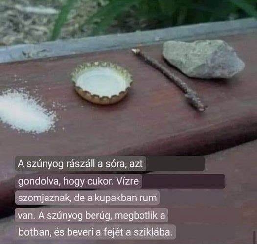 Csináld magad szúnyogcsapda