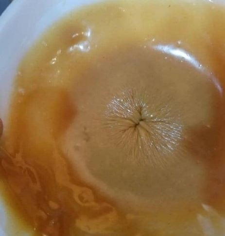 Cappuccinot szereted?