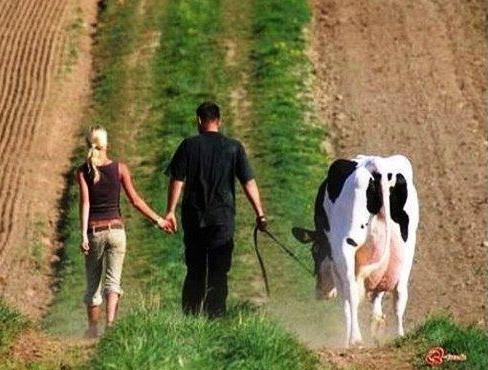 Két nővel élek együtt