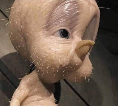 A zacsim a 38 fokos kánikulában