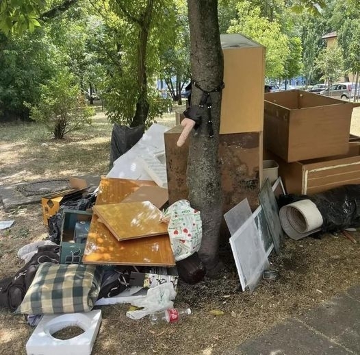 Lomtalanítás volt Budakalászon