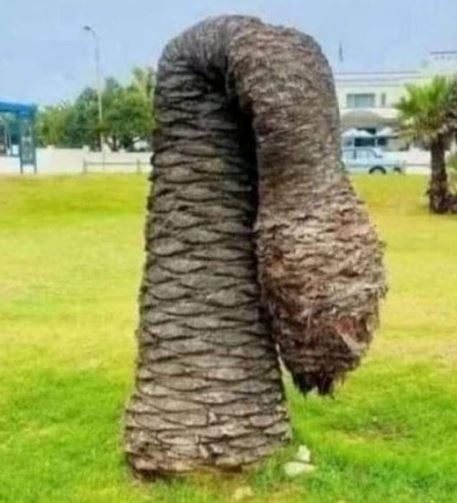 Én, amikor a csaj egy újabb menetet kér