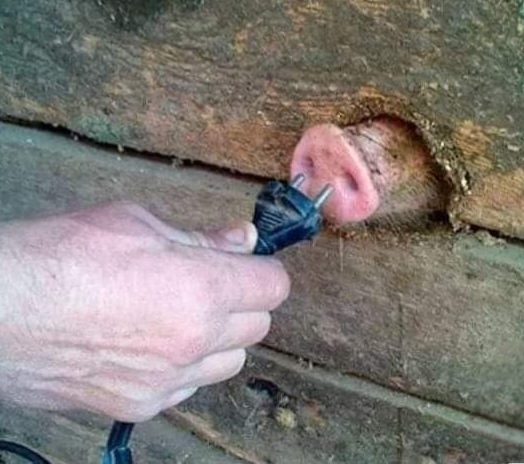 Amikor a városi gyerek először van vidéken