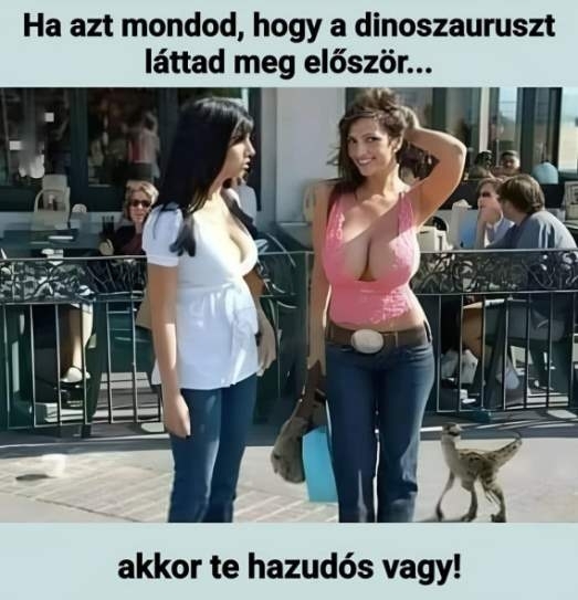 Meg sem próbálnám mondani