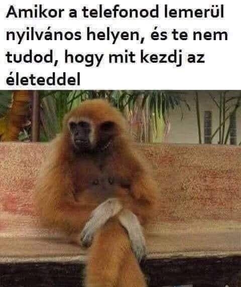 Valószínűleg többen magukra ismernek