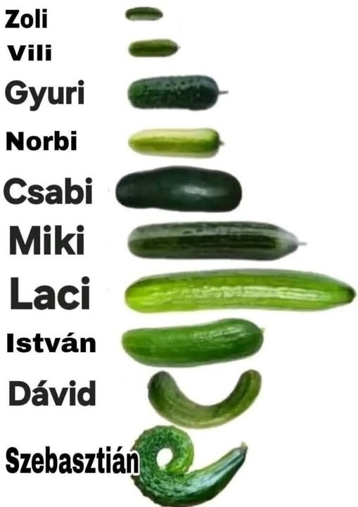 Egy asszony naplója